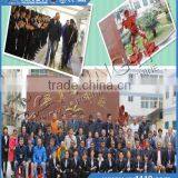 Xingyi Polishing Machine China Delivery 10days After we Received the Payment CE Small Cutting Machine for Cutting the Granite thumbnail-4