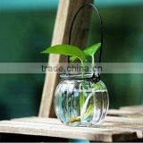 Glass Garden Flower Pots