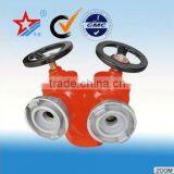 Fire Fighting Equipment Double Outlets Fire Hydrant Valve thumbnail-1
