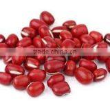 Small Red Beans From Vietnam Good Packaging for Sale thumbnail-1