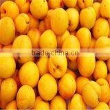 Automatic Jujube/Dates Pitter for Sale, Dates Pitting Machine thumbnail-5