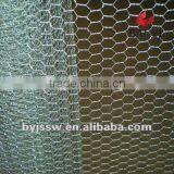 Small Hole Hexagonal Wire Netting