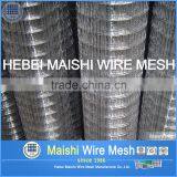 1/2''x1/2'' Electro Galvanized Welded Wire Mesh thumbnail-6