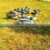 The Duck Couple ,wholesale Plastic Duck Decoys.HDPE Hunting Duck Decoys thumbnail-6