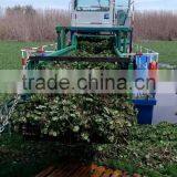 Beneficiation Weed Harvester Ship/Water Hyacinth Harvester/Weed Cutting Machine thumbnail-3