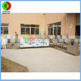 Factory Offer Air Bubble Ozone Fruit and Vegetable Peeling Cutting Washing Drying Automatic Machine Production Processing Line thumbnail-4