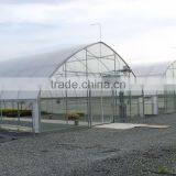 RoughBrothers Galvanized Steel Frame Agricultural Tunnel Greenhouse thumbnail-3