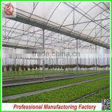 China Multi/single Span Plastic Film Greenhouse Agriculture for Sale thumbnail-4