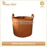 New Design Artifical Plant Pot,round Coloured Plant Pot thumbnail-6