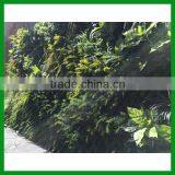 FO-GW018 Outdoor Green Plant Wall for Decor thumbnail-4
