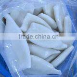 Frozen Squid Tube U5 U7 U10 IQF thumbnail-2