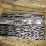 Plastic Ground Sod Staples/ Landscape Edging Pin/galvanized Stainless Steel Sod Nail thumbnail-4