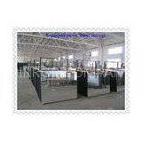 High Reflectivity Aluminium Glass Mirror 4mm 6mm For Gym / Decorative Walls thumbnail-1