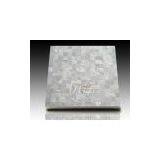 Freshwater Shell