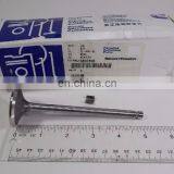 3802006 3920868 3802356 Diesel Engine 4BT 6BT Exhaust Valve Kit