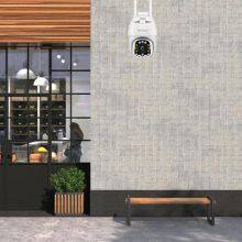 Pan Tilt Outdoor Camera thumbnail-2