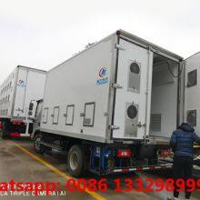 HOT SALE! FOTON Brand 30,000 Day Old Chicks Transported Vehicle for Hatcheries thumbnail-4