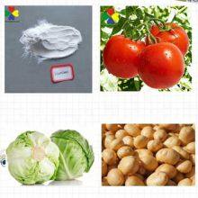 Plant Hormone Triacontanol 1.5% ep Water Soluble Powder in Bulk Pesticides for Agriculture thumbnail-2
