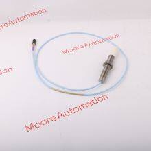 BENTLY NEVADA 330703-00-100-10-11-CN