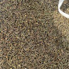 General Purpose Nails for Construction Made of Carbon Steel thumbnail-3