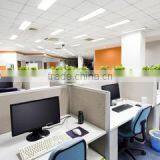 Shenzhen Picasso Trade Co., Ltd. company overview - view 2 thumbnail