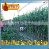 2015 Hot Sale Walking Corn Reaper thumbnail-1