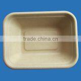 Disposable Container