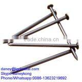 Common Iron Wire Nail CN-002D