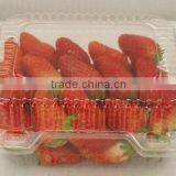 2015 Best Selling Plastic Clear Strawberry Packaging Box thumbnail-1