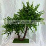 Made in China Mini Home Decoration Plant With Pot for Sale thumbnail-6