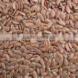 Flax lignan 20% from flax seed