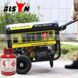 BISON(CHINA) Biogas Generator Prices Pakistan