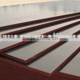 film faced plywood/ marine plywood/18mm construction plywood