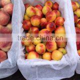 Buy High-quality Goods Nectarine thumbnail-1