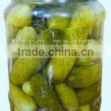 Pickled Cucumber in Jar thumbnail-1
