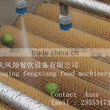 Washer Type Carrot / Watermelon / Cucumber / Peach / Peppers Washing Machine With Spray Wash thumbnail-3