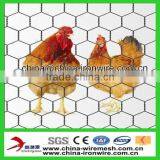 60"X150' Poultry Netting thumbnail-1