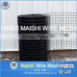 1/2" Sq Black PVC Coated Welded Wire Mesh
