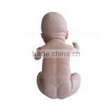 Human Body Biological Baby Model Teaching Baby Doll thumbnail-3