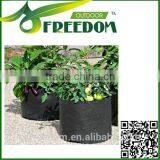 Plant Pot thumbnail-6