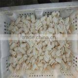 Best Season Giant Squid Cutting thumbnail-1