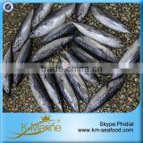 Hot Selling 18 Months Shelf Life Good Quality About Frozen Bonito thumbnail-3