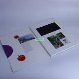 Видеоброшюра с высоким разрешением 800*480 thumbnail-2