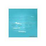 Sell Collar Band thumbnail-1