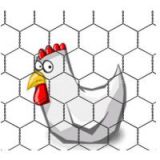 China supplier Cheap Galvanized Chicken wire netting
