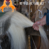 Natural Horse Tail Hair thumbnail-4