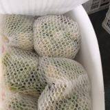 Fresh Cauliflower thumbnail-3