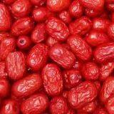 Red Date thumbnail-5