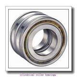 Fersa F19067 Cylindrical Roller Bearings thumbnail-2