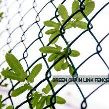 Chain Link Fence Chainlink Fence Chain-link Chainlinkfencing Security Fence Green Vinyl PVC Coated Commercial Fecne Industrial Fence Residential Fence thumbnail-2